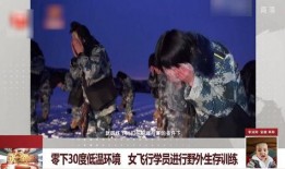 爆料野外生存视频,跟随视频探索生存技巧与挑战