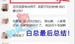白哥爆料私信视频大全最新,私信视频大全全解析